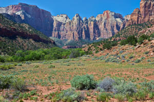 USA Zion<br>NIKON D4, 38 mm, 100 ISO,  1/320 sec,  f : 8 